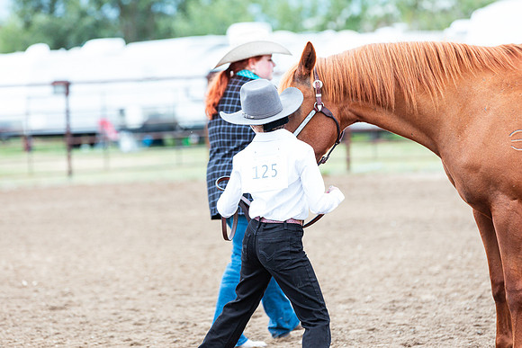 HORSE110