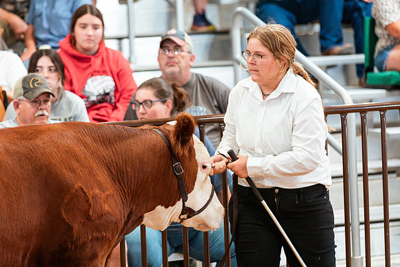 BEEF SHOWMANSHIP20