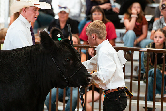 BEEF SHOWMANSHIP41