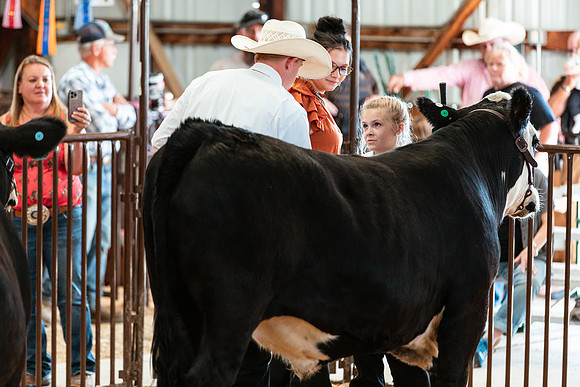 BEEF SHOWMANSHIP69