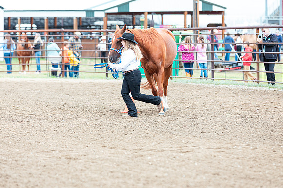 HORSE72
