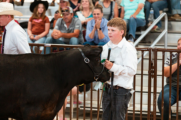 BEEF SHOWMANSHIP65