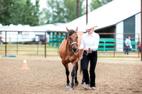 HORSE19