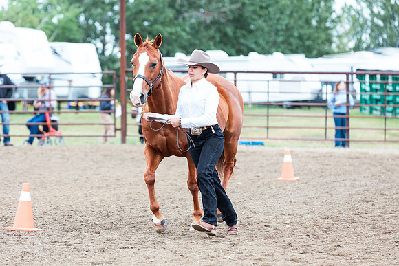 HORSE61