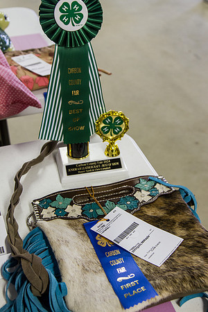 DAY1CCFAIR31