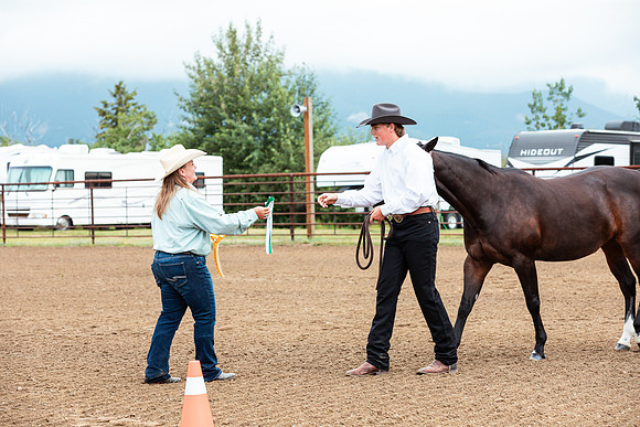HORSE33