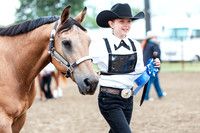 HORSE136