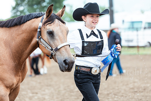 HORSE136