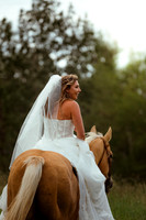 HORSE42