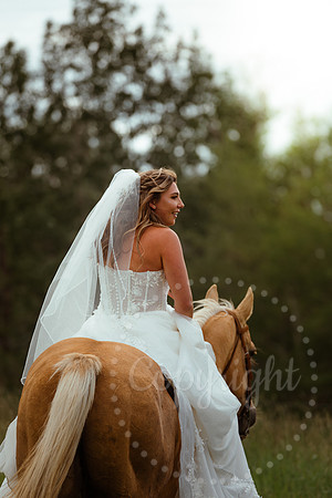 HORSE42