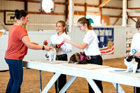 CATSHOW12