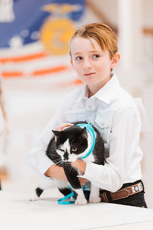 DAY1CAT8