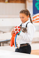 DAY1CAT12