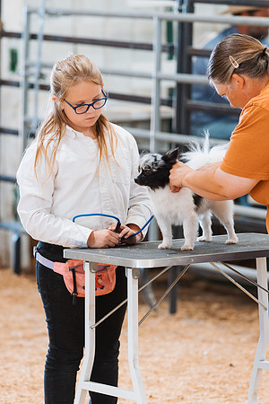 DAY2DOGSHOW4