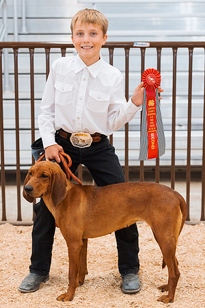 DAY2DOGSHOW5