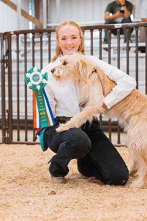 DAY2DOGSHOW2