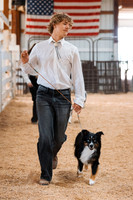 Day 2 - Dog & Rabbit Shows