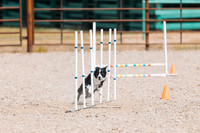 DAY2DOGSHOW9