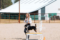 DAY2DOGSHOW10