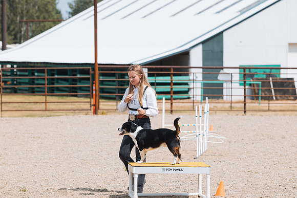 DAY2DOGSHOW10