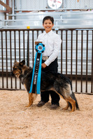 DAY2DOGSHOW6