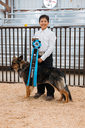 DAY2DOGSHOW6