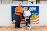 DAY2DOGSHOW7