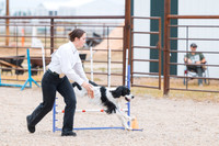 DAY2DOGSHOW12