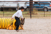 DAY2DOGSHOW13