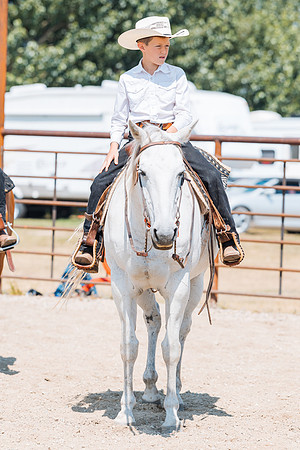 DAY3HORSE84