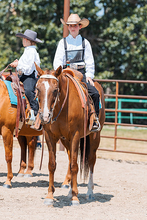 DAY3HORSE85