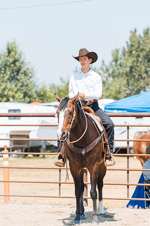 DAY3HORSE127