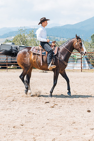 DAY3HORSE129