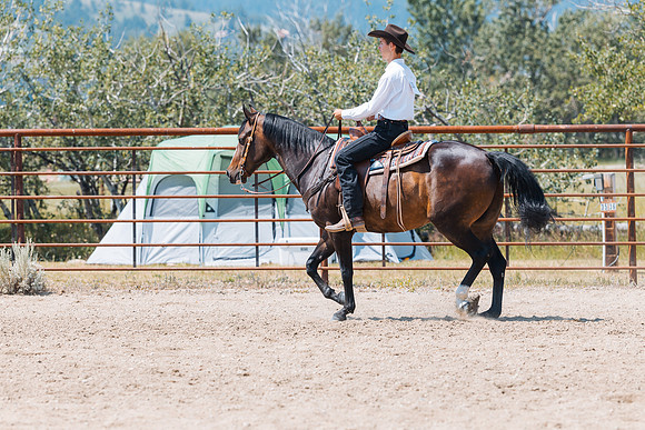 DAY3HORSE130