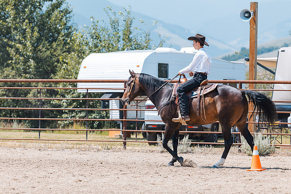 DAY3HORSE131