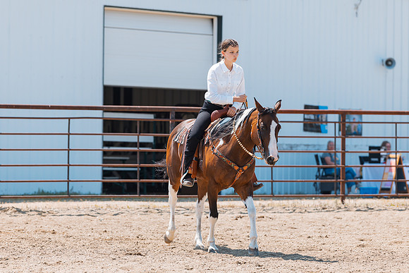 DAY3HORSE132