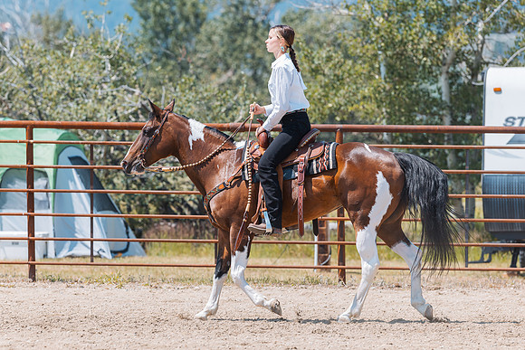 DAY3HORSE133