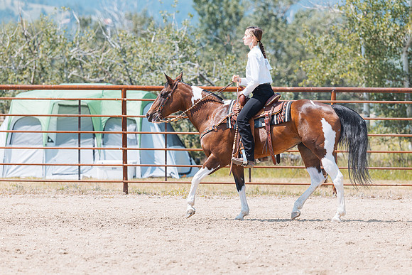 DAY3HORSE134