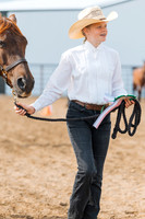 DAY3HORSE4