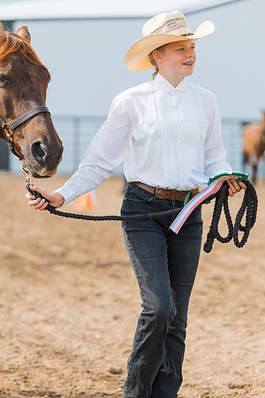 DAY3HORSE4
