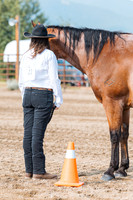 DAY3HORSE1