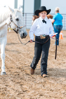 DAY3HORSE6