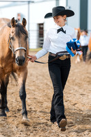DAY3HORSE10
