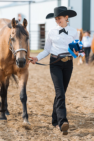 DAY3HORSE10