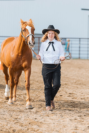 DAY3HORSE12