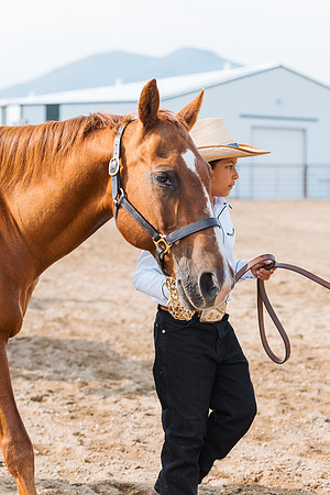 DAY3HORSE22