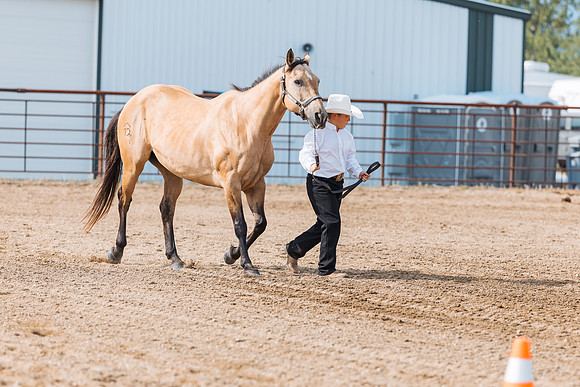 DAY3HORSE26