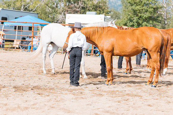 DAY3HORSE28