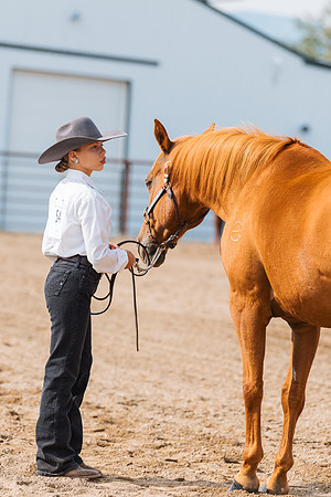 DAY3HORSE29
