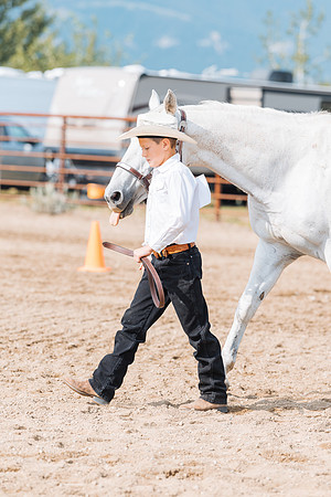 DAY3HORSE31